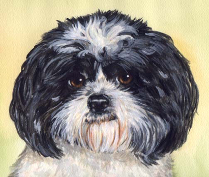 Shih Tzu Dog Watercolor Pet Portrait Carol Wells