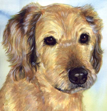 Dog Watercolor Pet Portrait Carol Wells
