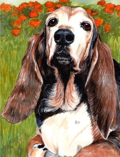 Basset Hound Dog Watercolor Carol Wells
