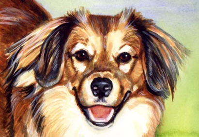 Dog Watercolor Pet Portrait Carol Wells