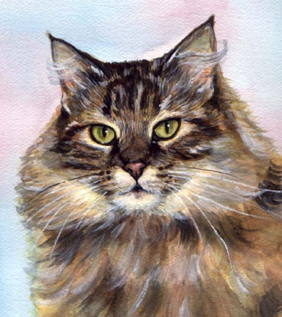 Longhaired Tabby Cat Watercolor Carol Wells