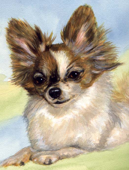 Pappilon Dog Watercolor Pet Portrait Carol Wells