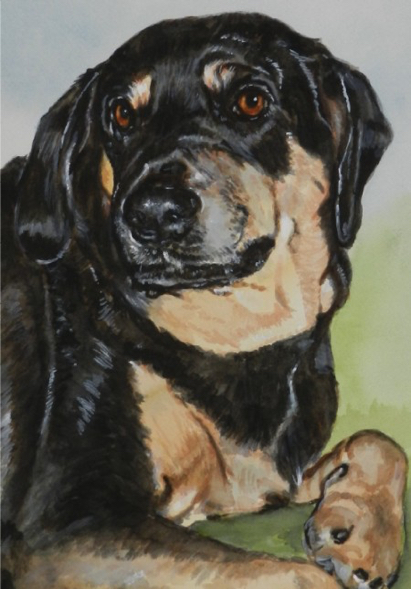 Dog Watercolor Carol Wells