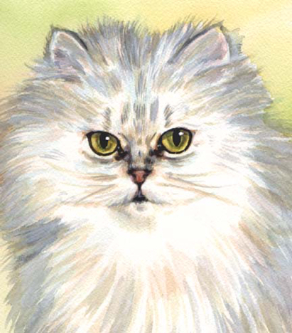 Longhaired White Cat Watercolor Carol Wells