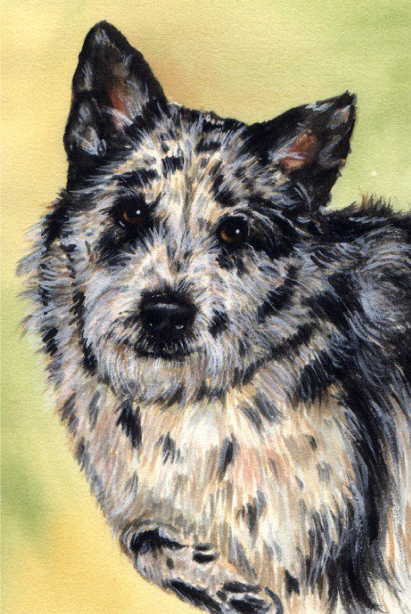 Dog Watercolor Pet Portrait Carol Wells