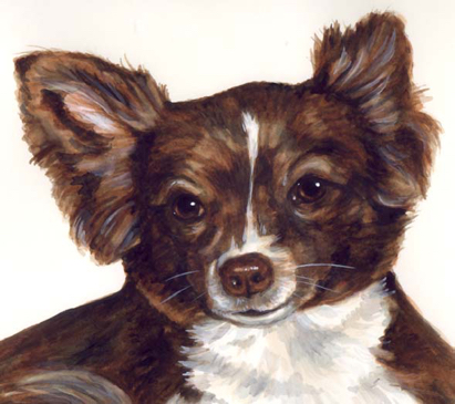 Longhaired chihuahua Dog Watercolor Portrait Carol Wells