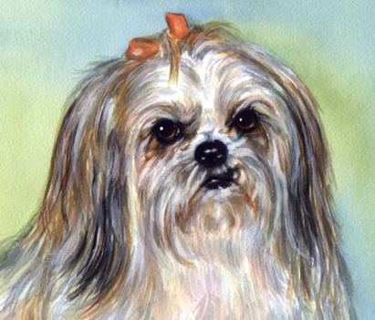 Lhasa Apso Dog Watercolor Pet Portrait Carol Wells