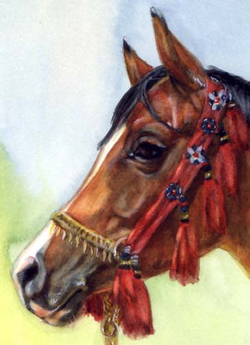 Bay Horse Watercolor Arabian Tack Wells