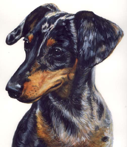 Dachshund Dappled Dogs Watercolor Pet Portrait Carol Wells