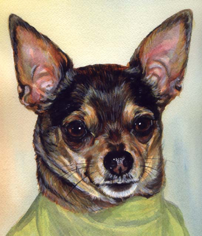 Chihuahua Dog Watercolor Portrait Carol Wells