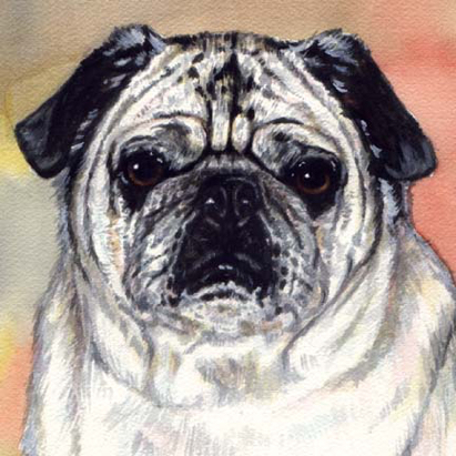 Pug Dog Watercolor Pet Portrait Carol Wells