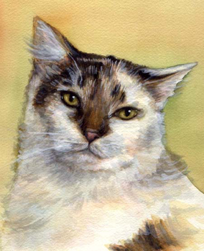 Cat Watercolor Carol Wells