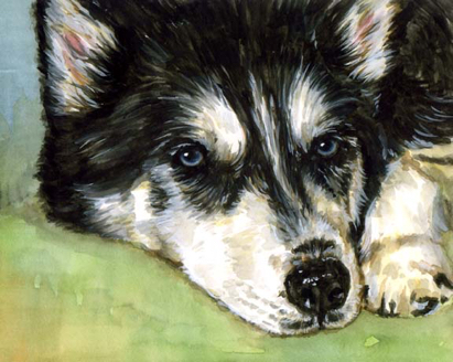 Malamute Dog Watercolor Carol Wells