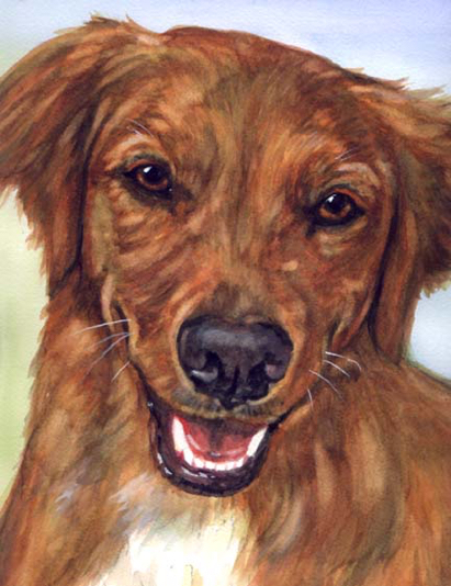 Dog Pet Portrait Watercolor Carol Wells