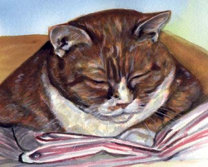 Sleeping Cat Watercolor Carol Wells