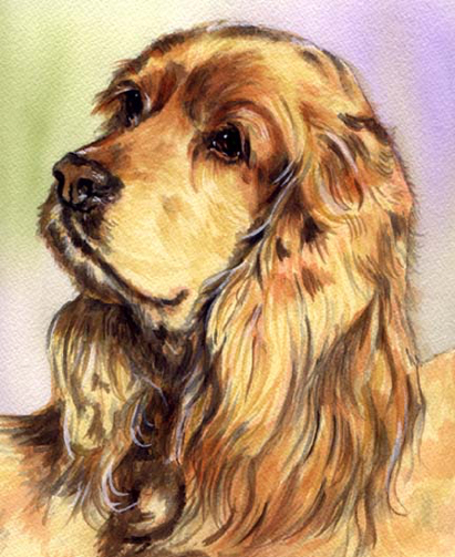 Blonde Cocker Spaniel Dog Watercolor Carol Wells