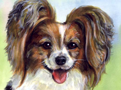 Papillon Dog Watercolor Carol Wells