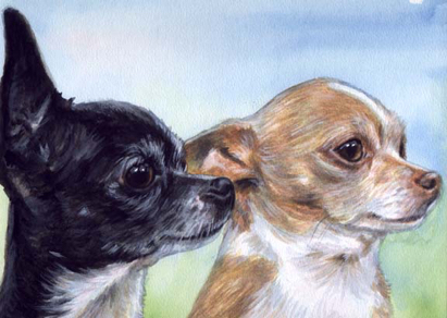 Chihuahua Dogs Watercolor Portrait Carol Wells