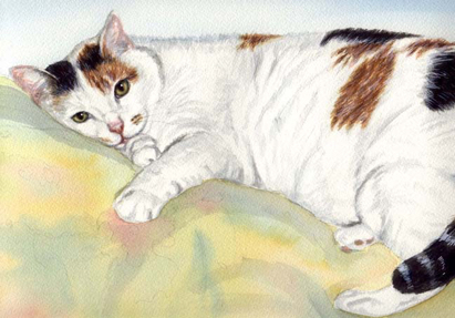 Calico Cat Watercolor Carol Wells