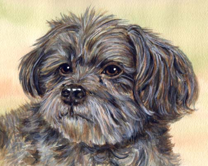 Dog Watercolor Pet Portrait Carol Wells