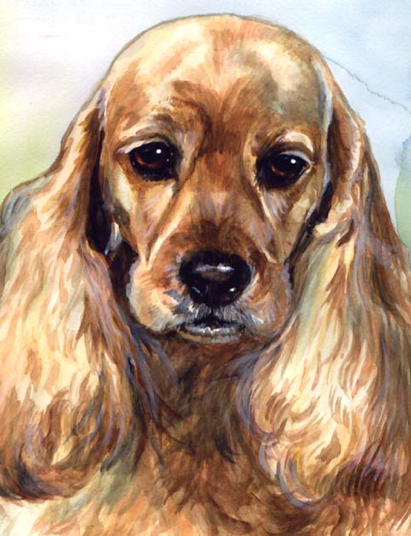 Cocker Spaniel Dog Watercolor Portrait Carol Wells