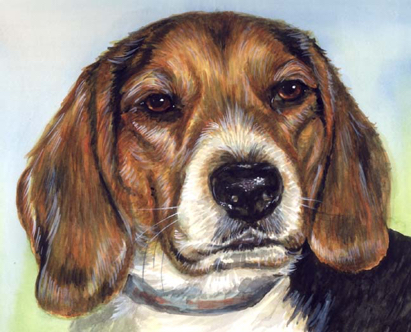 Beagle Dog Watercolor Carol Wells