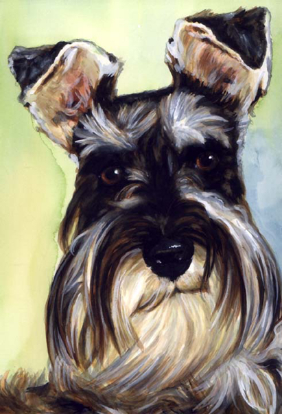 Schnauzer Dog Watercolor Portrait Carol Wells
