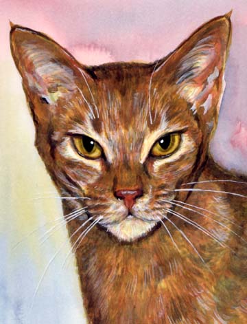 Abbysinian Cat Watercolor Carol Wells