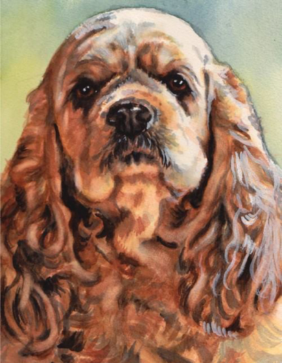 Cocker Spaniel Dog Watercolor Carol Wells