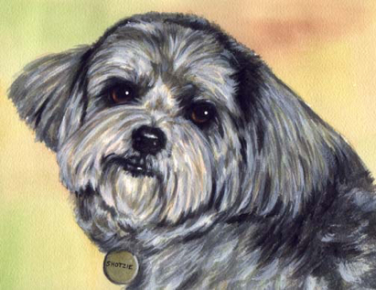 Dog Watercolor Pet Portrait Carol Wells