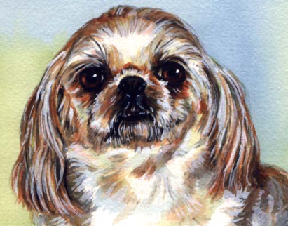 Lhasa Apso Dog Watercolor Carol Wells