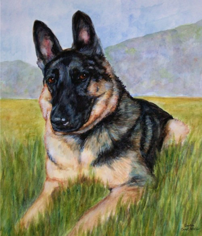 German Shepherd Dog Watercolor Carol Wells