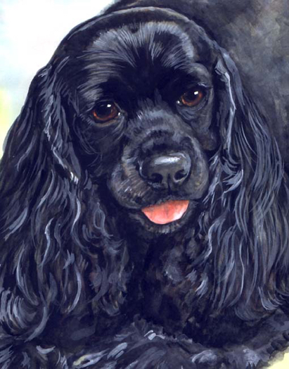 Black Cocker Spaniel Watercolor Carol Wells