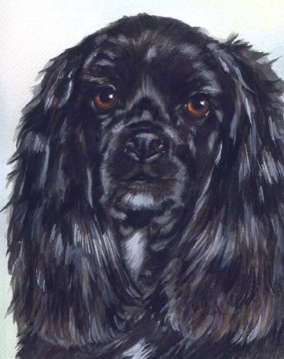 Black Cocker Spaniel Dog Watercolor Carol Wells