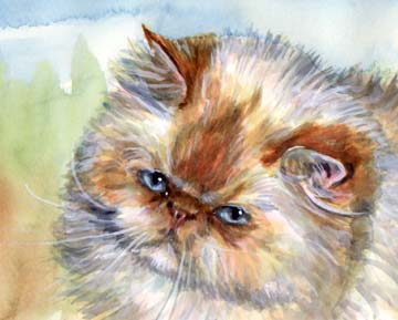 Persian Cat Blue Eyes Watercolor Carol Wells