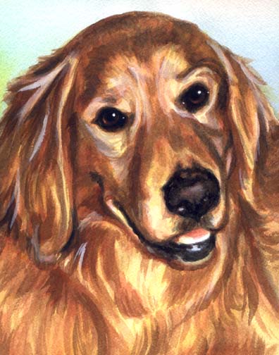 Golden Retriever Dog Watercolor Portrait Carol Wells