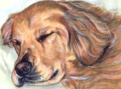 Golden Retriever Sleeping Watercolor Portrait Carol Wells