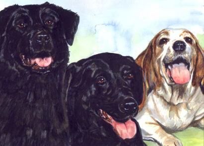 Dogs Watercolor Carol Wells