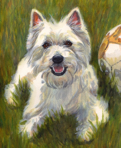 Westie West Highland Terrier Dog Watercolor Carol Wells