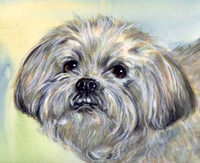 Dog Watercolor Pet Portrait Carol Wells