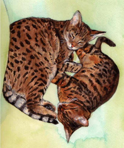 Bengal Cats Watercolor Carol Wells