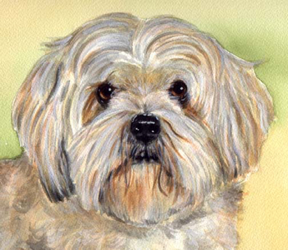 Dog Watercolor Pet Portrait Carol Wells