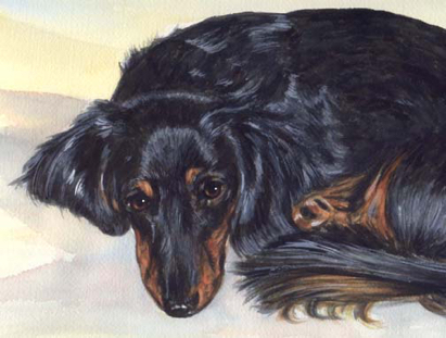 Longhaired Dachshund Watercolor Pet Portrait Carol Wells