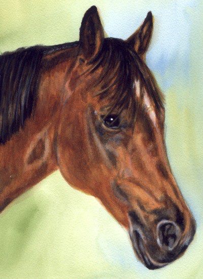 Bay Horse Watercolor Pet Portrait Carol Wells
