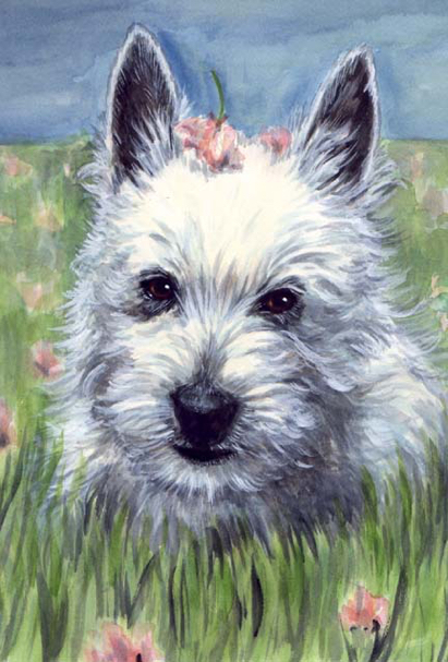 Westie Dog Watercolor Pet Portrait Carol Wells