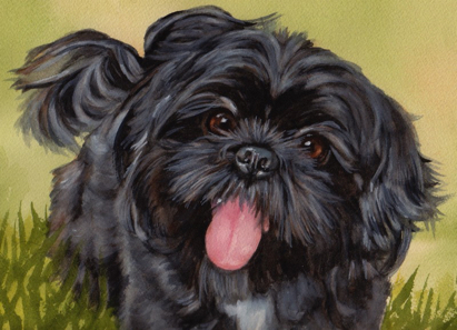 Black Dog Watercolor Carol Wells