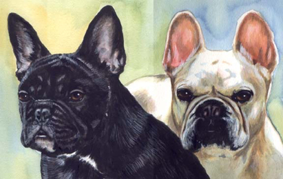 French Bulldogs Watercolor Pet Portrait Carol Wells