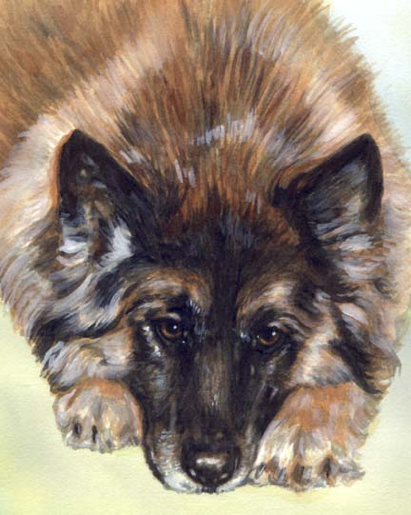 German Shepherd Dog Watercolor Pet Portrait Carol Wells