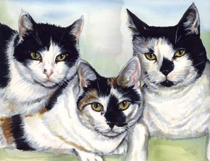 Black White Calico Cats Watercolor Carol Wells