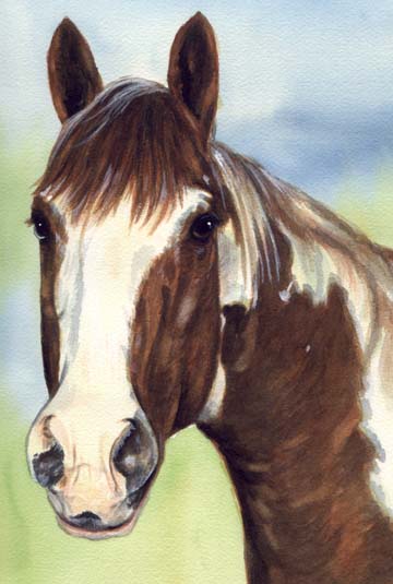 Paint Horse Art Carol Wells